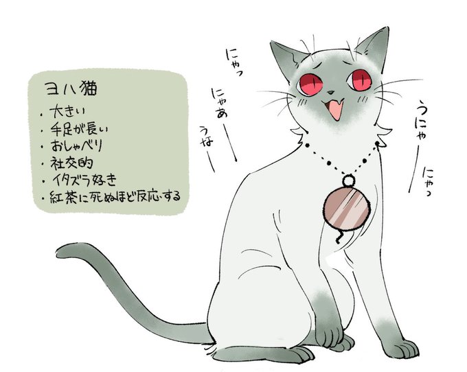ヨハ猫! 