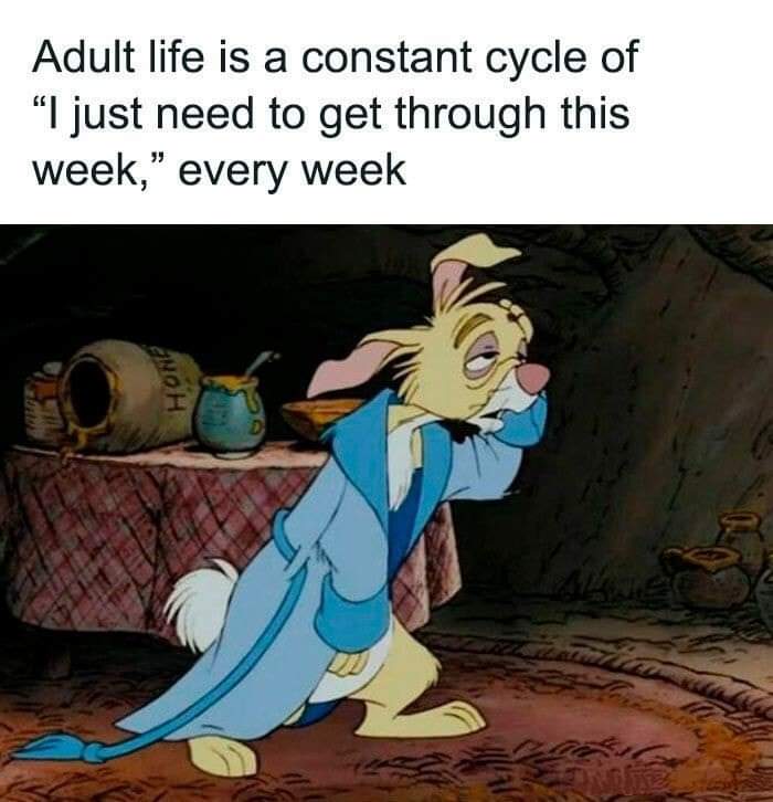 Yup! 💯