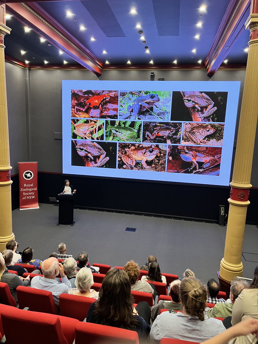 Conservation Science Research Group (@conservationuon) on Twitter photo Exciting day at the Royal Zoological Society of NSW Forum this past Saturday! Our group had 5 incredible members attending, making it an event to remember! <a href="/Rose_Upton1/">Rose Upton</a> and <a href="/WallacxFrogging/">Samantha Wallace</a> delivered captivating talks that left us all inspired.
#RZSNSWFORUM <a href="/UON_research/">Uni Newcastle Research</a> #frog Exciting day at the Royal Zoological Society of NSW Forum this past Saturday! Our group had 5 incredible members attending, making it an event to remember! <a href="/Rose_Upton1/">Rose Upton</a> and <a href="/WallacxFrogging/">Samantha Wallace</a> delivered captivating talks that left us all inspired.
#RZSNSWFORUM <a href="/UON_research/">Uni Newcastle Research</a> #frog
