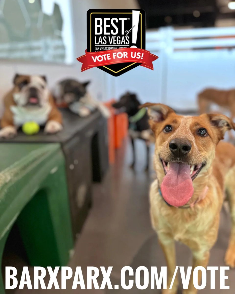 : It's ok to have favorites 🫶 Vote for yours as Best of Las Vegas 2023!!

barxparx.com/vote
🗳️🗳️🗳️
Cast your votes daily
(and on every device)
for Best of Las Vegas 2023!!
💚🧡🐾

Fur-riends, we are hum... #dogs #dogsoftwitter #dogpark #barxparx instagram.com/p/CxG_6LqPr9E/