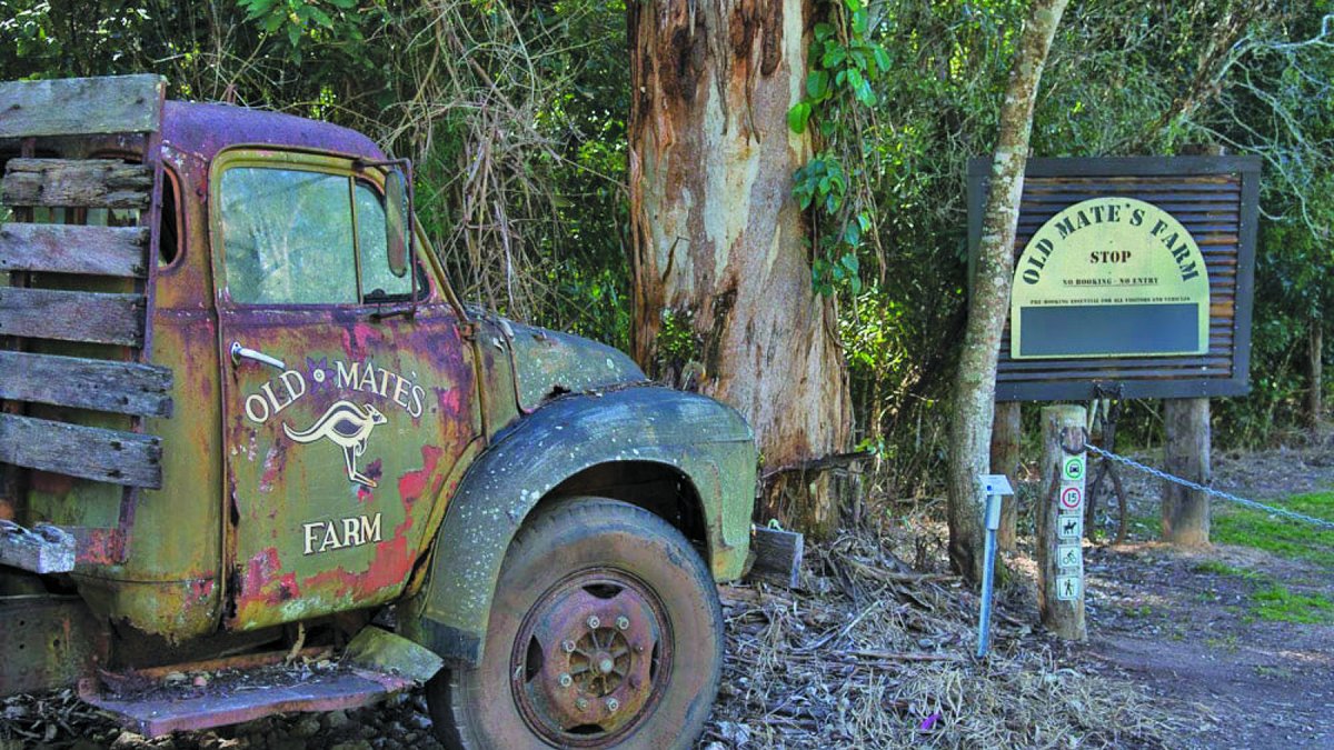 Th3Express's tweet image. A LEGAL stoush is looming for Tablelands Regional Council after a decision that allows Old Mates Farm to expand its area of operations and build more facilities but not have any... theexpressnewspaper.com.au/legal-action-l…