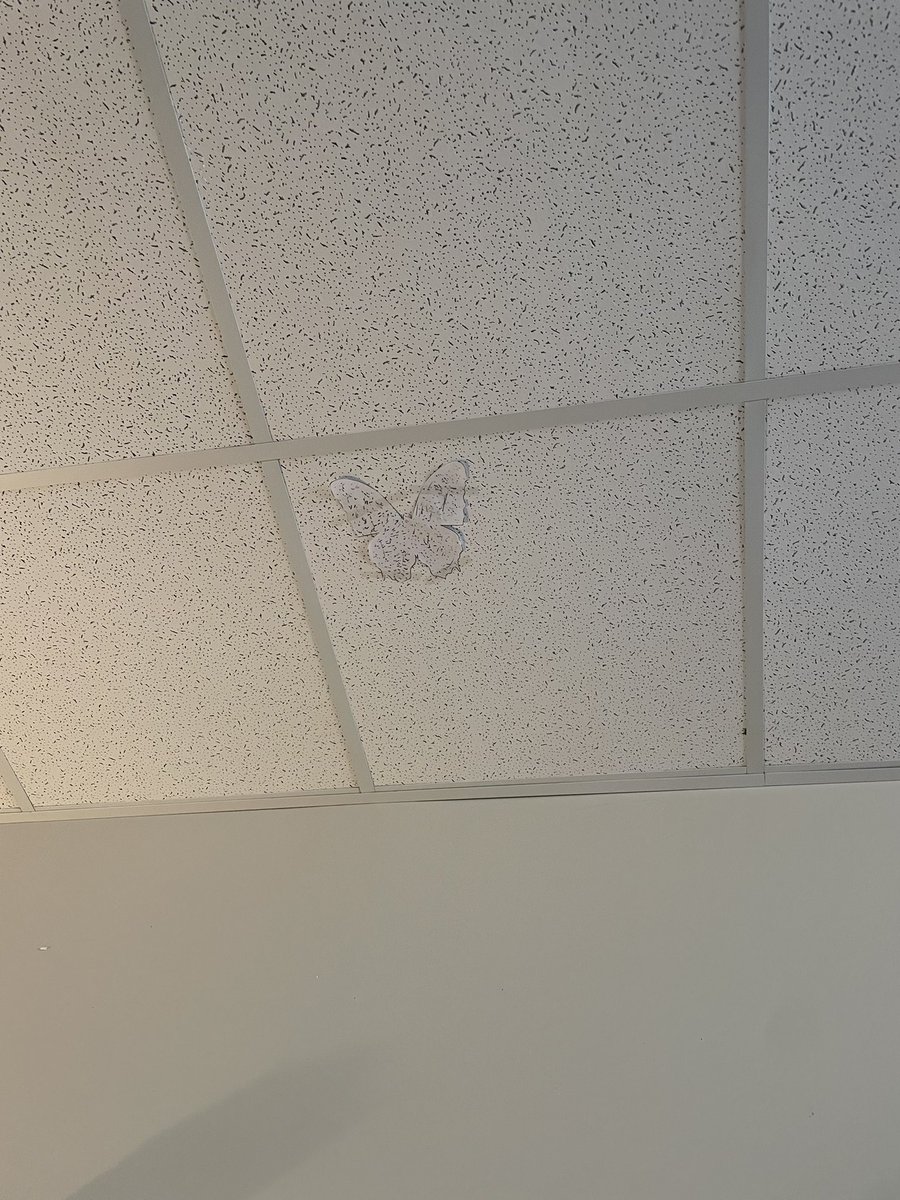 Structures and function are fun, so we made it interesting. Can you spot the butterfly? <a href="/HumbleISD_LSE/">Lakeshore Elementary</a> #WeAreLakeshore