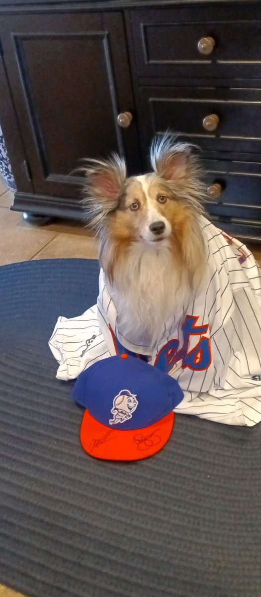 Pooch parade at Citifield.  
#BarkInThePark