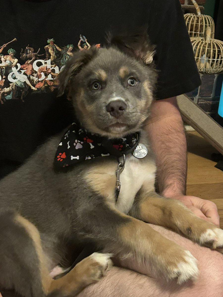 CDavis_0223's tweet photo. Mom and Justin fixed the sewing machine. First bandana is done and Jax is looking cute as can be https://t.co/Vr8pMZXA0B