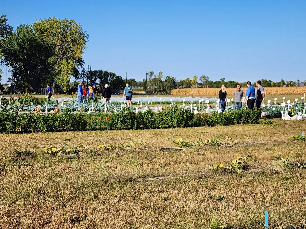 Our #Horticulture #UndergraduateStudents presenting the #InternshipExperience at the #SpecialtyCrops #FieldDay. #GraduateStudent also did a great job talking about their research. @SDStateCAFES