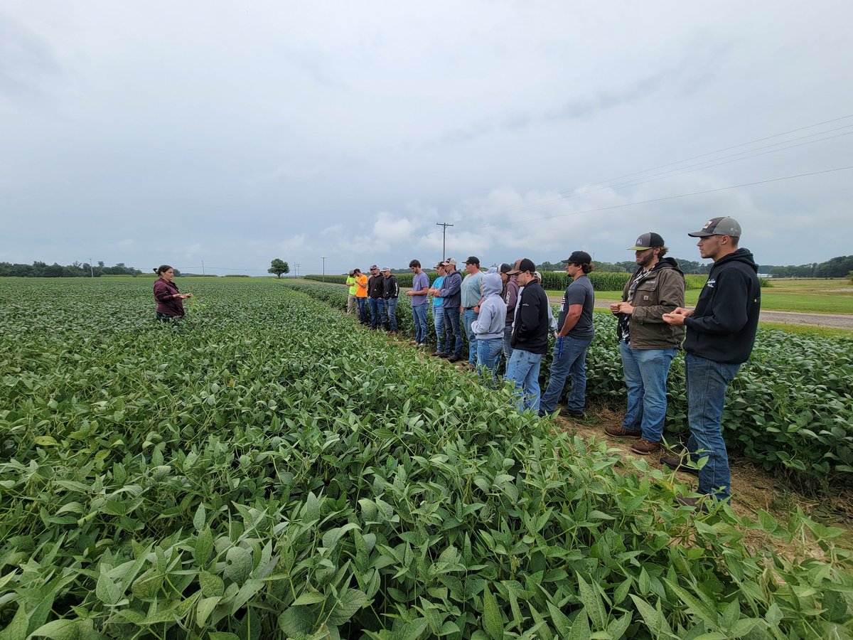 Forrest Lang tweet media