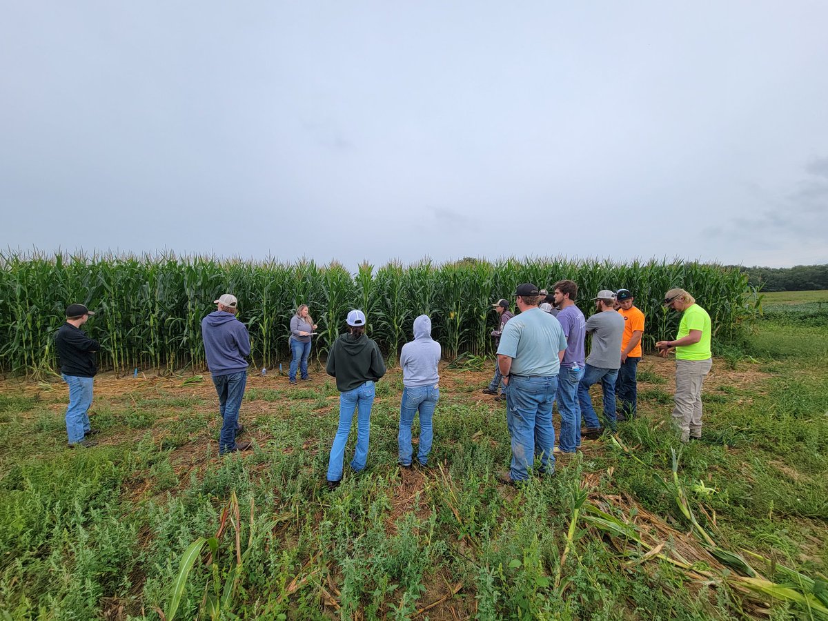 Forrest Lang tweet media