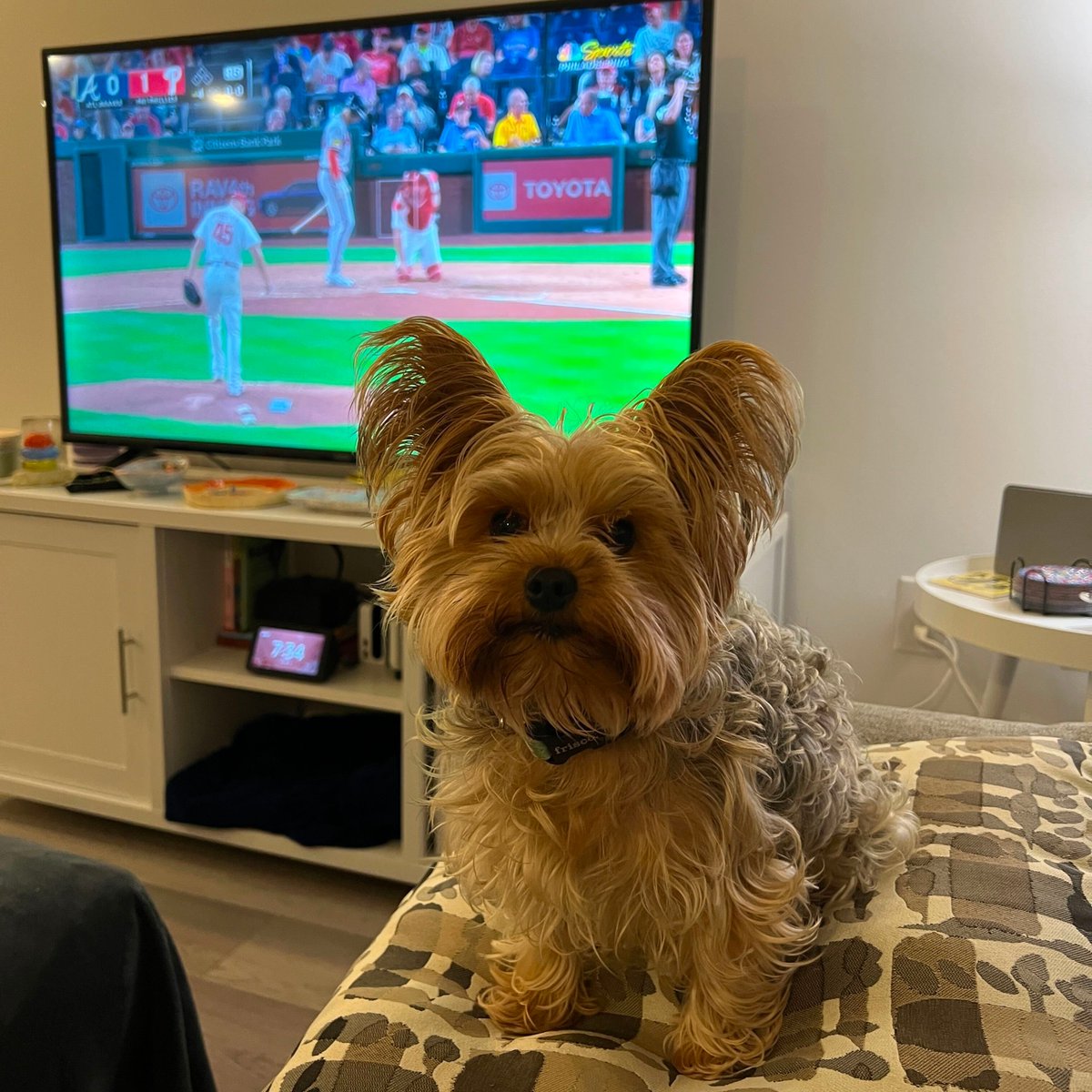 amanda silberling tweet media