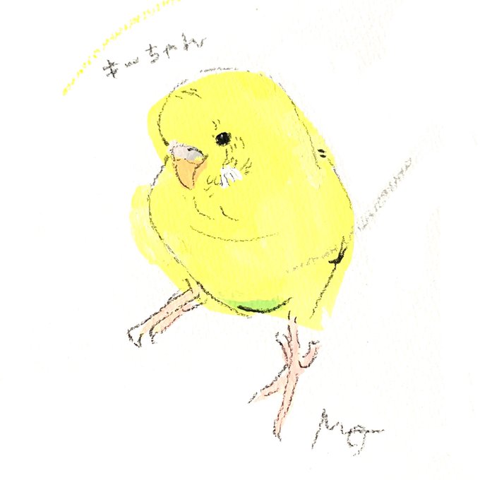 #小鳥のアートフェスタ in横浜オーダーイラストのご紹介ちんまりかわいいセキセイインコさん※イベントは終了いたしました 