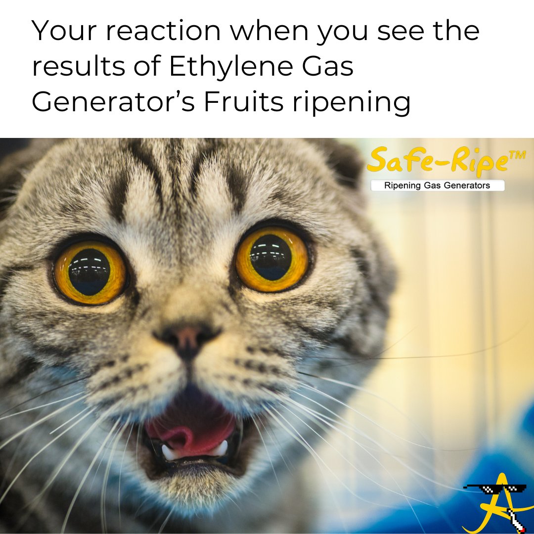 Koldware Industries (Private) Limited tweet media