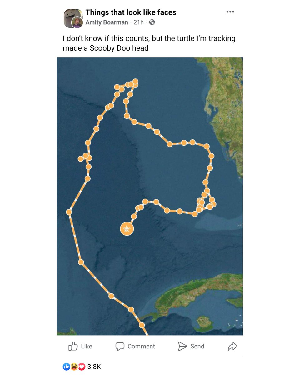 🥔🗺️ ᴘᴏᴋᴀᴛᴇᴏ ᴍᴀᴘs tweet media