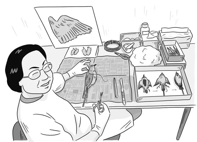 RT『海獣学者、クジラを解剖する。』のコラムの挿絵として描かせていただいた渡邊芳美さん。