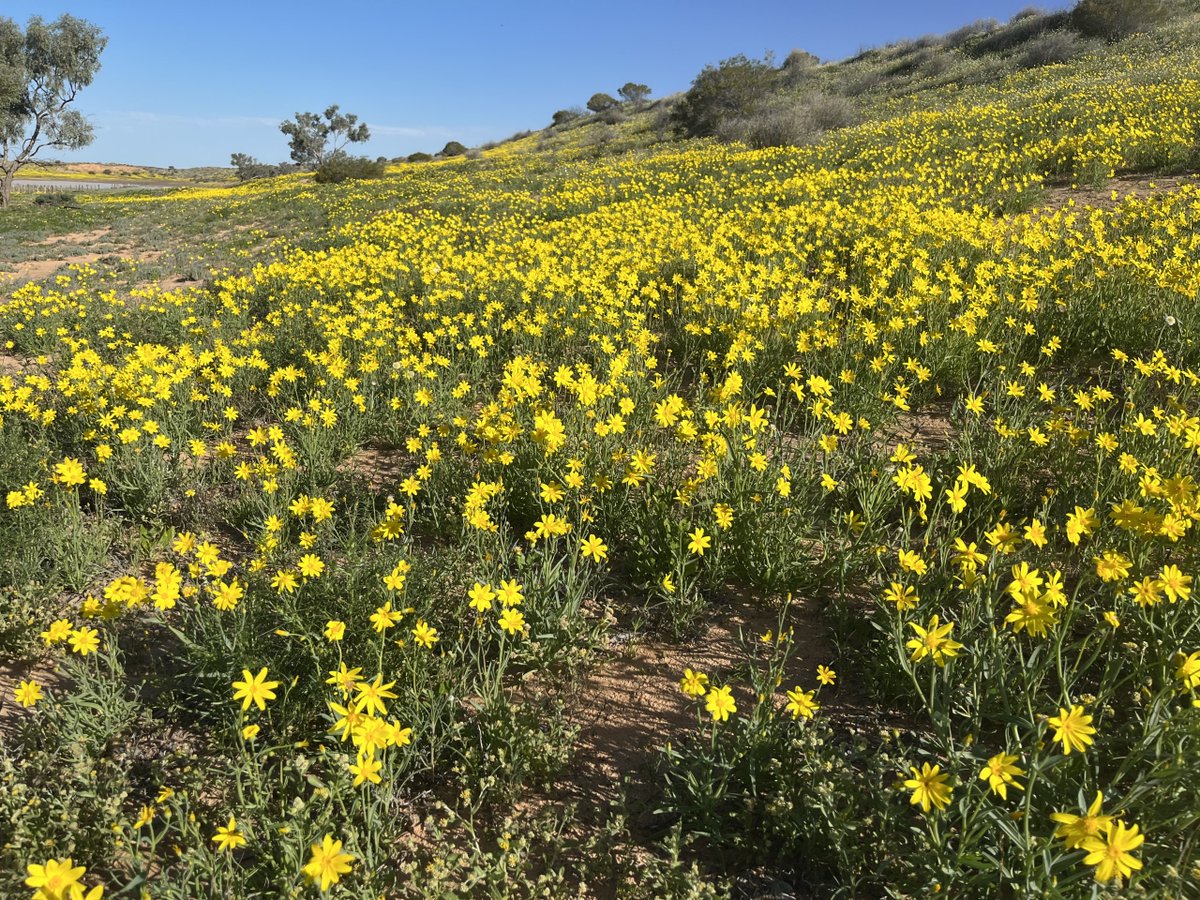 awconservancy tweet picture