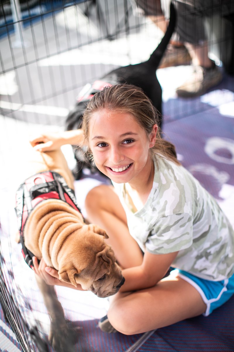 LJ Art & Wine Fest tweet media