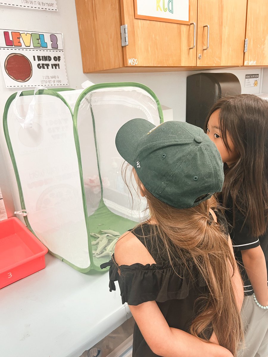 Victoria Corlett tweet media