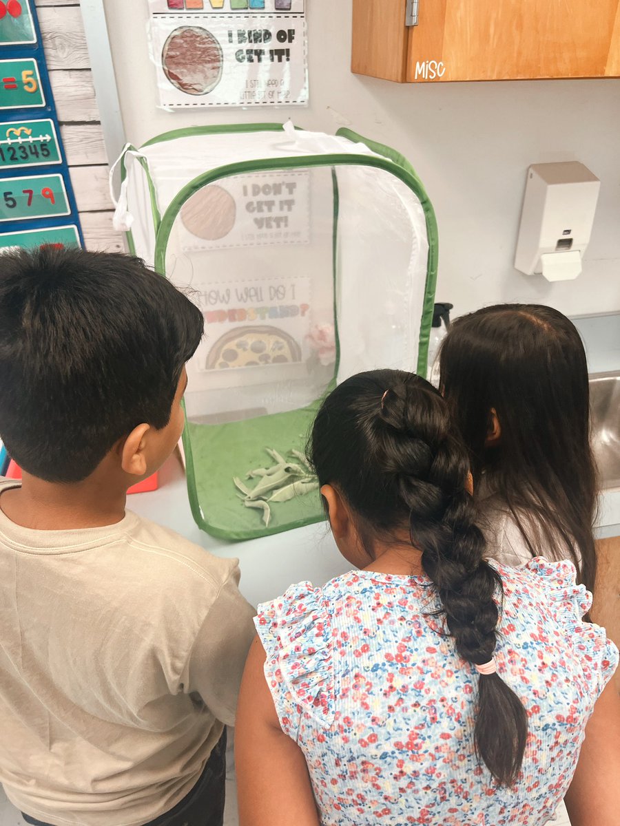 Victoria Corlett tweet media