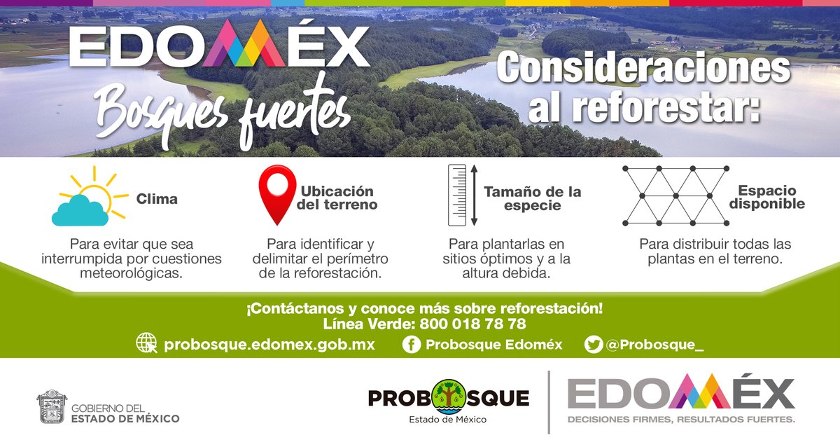 Reforestar es una actividad muy importante, para realizarse de manera exitosa es esencial considerar diferentes factores.

Consulta la siguiente información antes de hacerlo o también puedes llamar a la línea verde: 800 018 78 78.