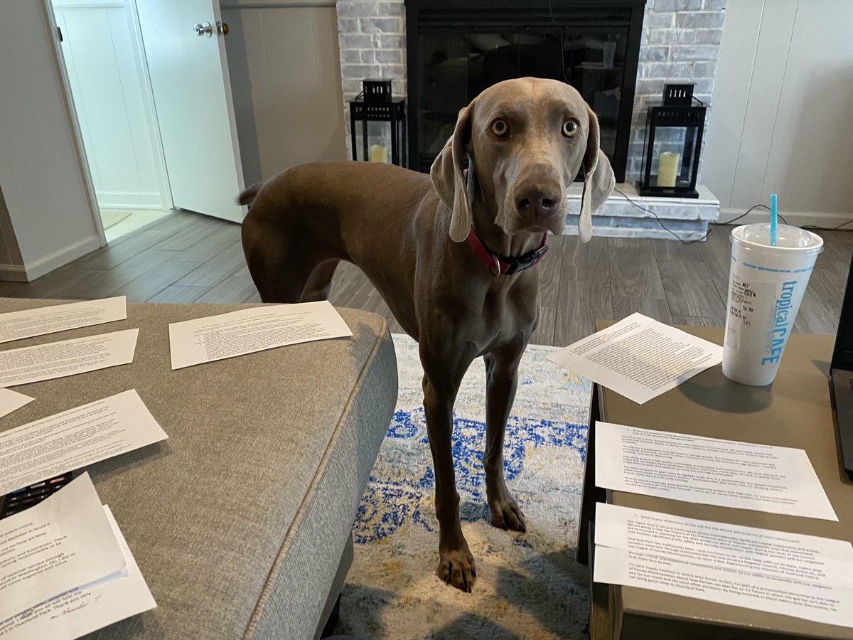 DrewMitrisin's tweet photo. Big shoutout to Captain for helping me prep for the @opchamber forum and to Reese for being a sleepy dinosaur. Team effort all around. 

It was a beautiful day in #OPKS and a positive discussion on how to keep our great city on the right track. 

Stay tuned for the recording! https://t.co/nTfWzpz7iJ