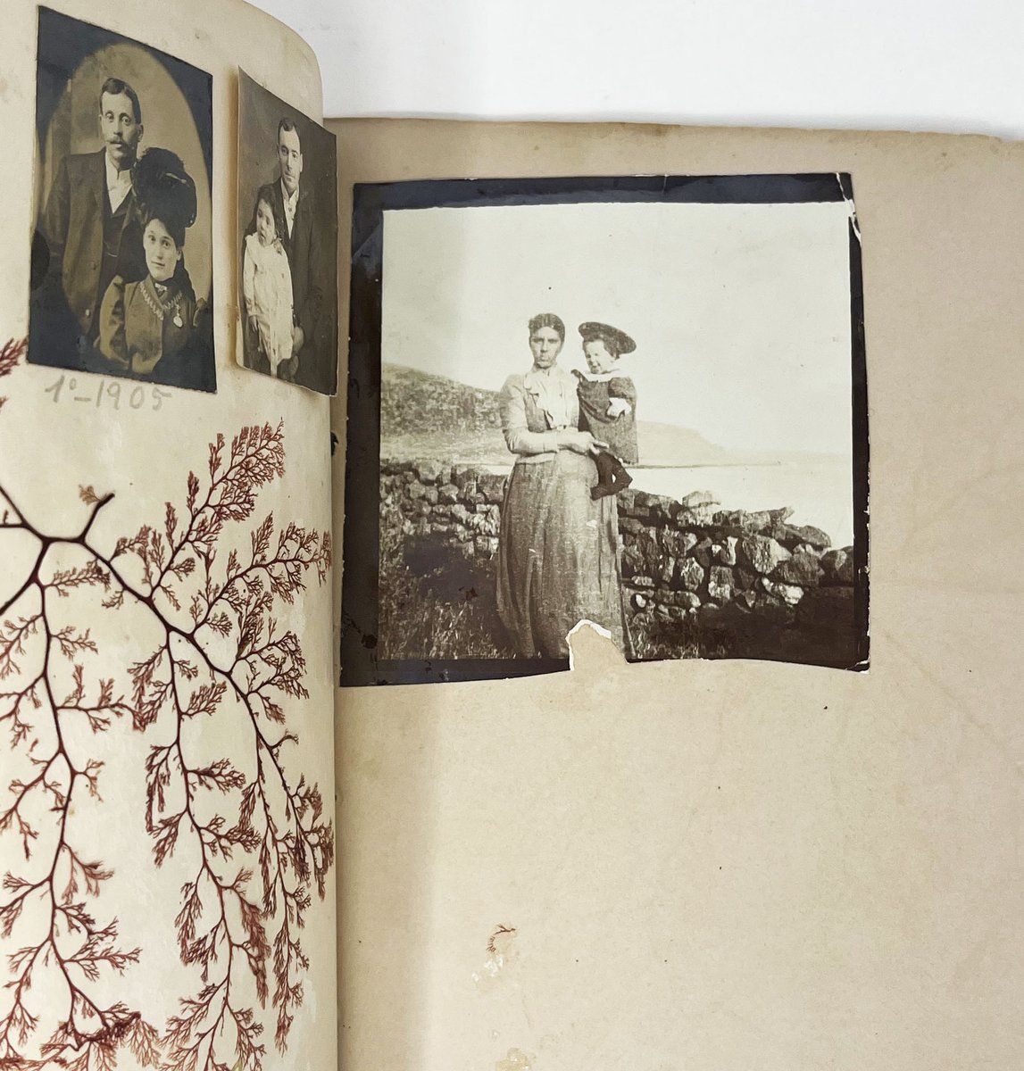 Division Leap tweet media