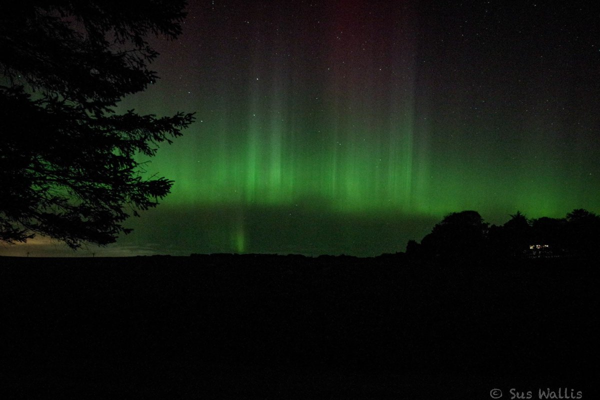 ticketyboo_sus's tweet photo. Northern Lights!! 13/09 00.00-00.35, Aberdeenshire. Pentax K-70, Samyang 14mm ISO3200 2.0/3.0sec ##PentaxK70 #NorthernLights #AuroraBorealis #NorthernLights #Aberdeenshire #NEScotland https://t.co/WhaB3jpMTO