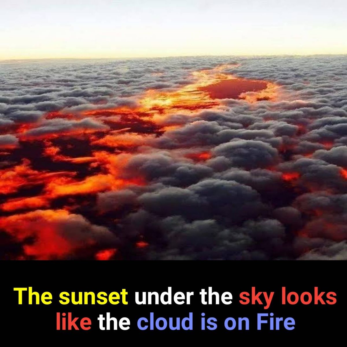 ScientifyFacts's tweet photo. #facts 

If you're interested in Facts follow @ScientifyFacts

#climate #weather #clouds #sun #sunset 

#INDvSL #ViratKohli #RohitSharma𓃵 #INDvPAK #Ahsoka📷 Karol G. Diddy. #MasterChefBR #VamosChile #LaCasaDeLaTri #Libya #VMAs #SRK𓃵 #INDvSL  Shakira. taylor. selena. Anitta. https://t.co/a4gndvbGxr
