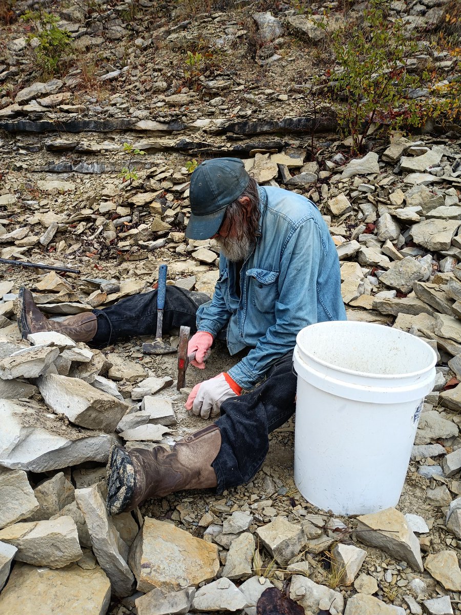 JohnRMoffitt's tweet photo. It's #TrilobiteTuesday and a temperature drop finally arrives to create the intersection of perfect weather and trilobite collecting in the Oklahoma Lower Devonian.
#Hunton
@Drstevenhobbs
@mareetimms
@ScientistMel
@StevenDJBaumann https://t.co/D9oZ2v7F1R