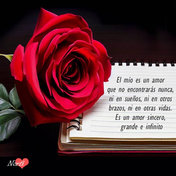 El mío es un amor que no encontrarás nunca, ni en sueños, ni en otros brazos, ni en otras vidas. Es un amor sincero, grande e infinito.
norfipc.com/amor/notas-amo…
#notasdeamor
#teextraño
#faltastu