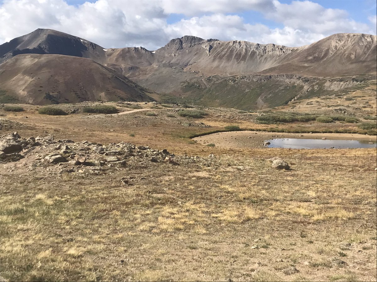 Donald Sinner tweet media