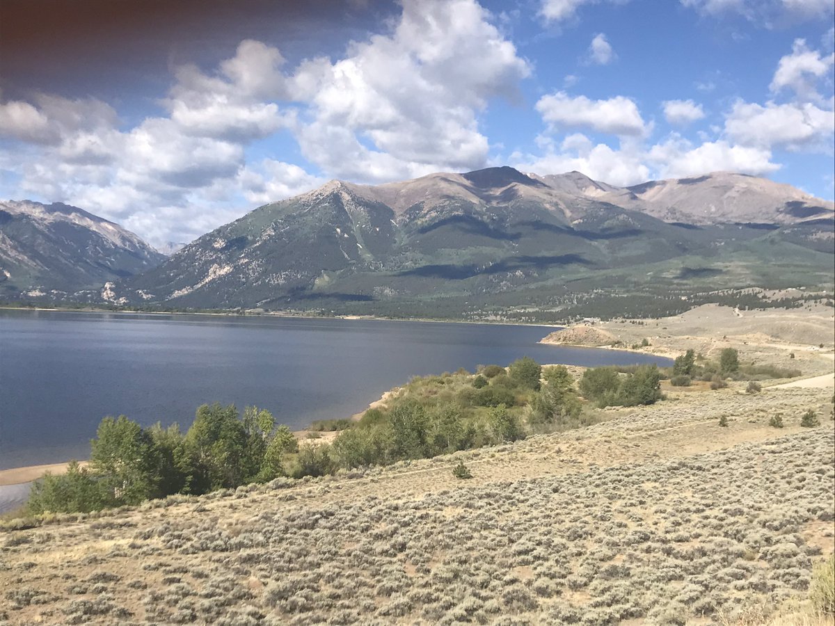 Donald Sinner tweet media