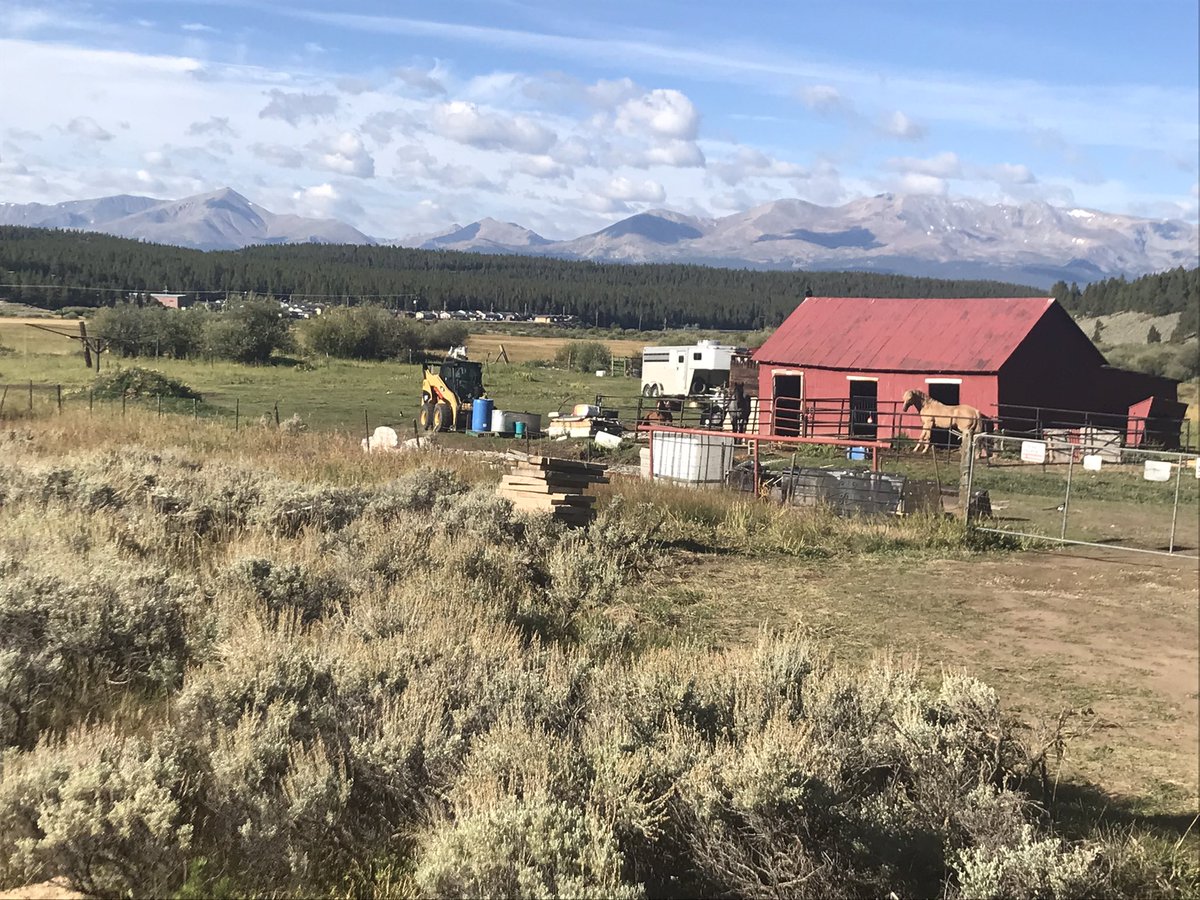 Donald Sinner tweet media