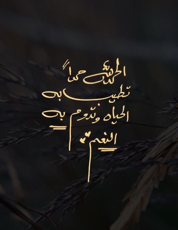 smawi30's tweet photo. "أُحبُّ ما أنا عليه الآن يا الله
أُحب كل الأقدار والتجارب التي
أخذتْ بيدي إلى هذه النقطة
حتى تلك التي ظننتها مؤلمة وحزينة
أُحب ما أعطيتني وكذلك ما منعت عني
أُحب عوضكَ الذي يأتي فجأةً ودون مُقدمات
#رفاق_النمر_للاضافات 
#رفاق_النمر_للتبادل https://t.co/YBgEs48vzp