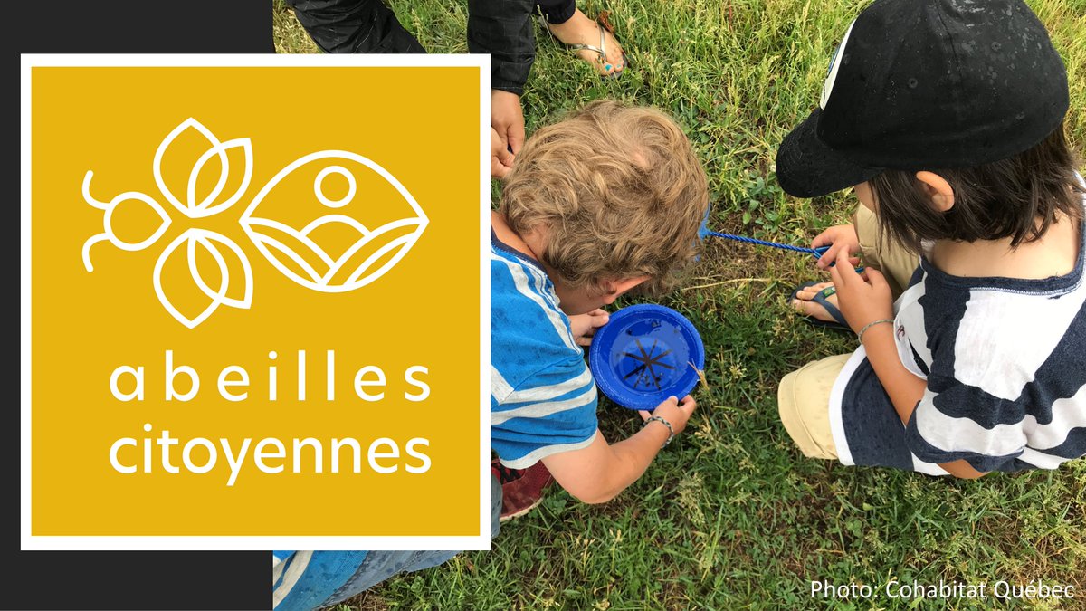 SabRondeau's tweet image. ✨🐝NEW PAPER ALERT 🐝✨

Discover Abeilles citoyennes (@AbeillesCit_Qc), a #CommunityScience initiative dedicated to monitoring insect pollinators in Quebec, 🇨🇦. 👇

conbio.onlinelibrary.wiley.com/doi/10.1111/cs… 

#CitizenScience #PollinatorResearch @ConservationSP🐝🪰