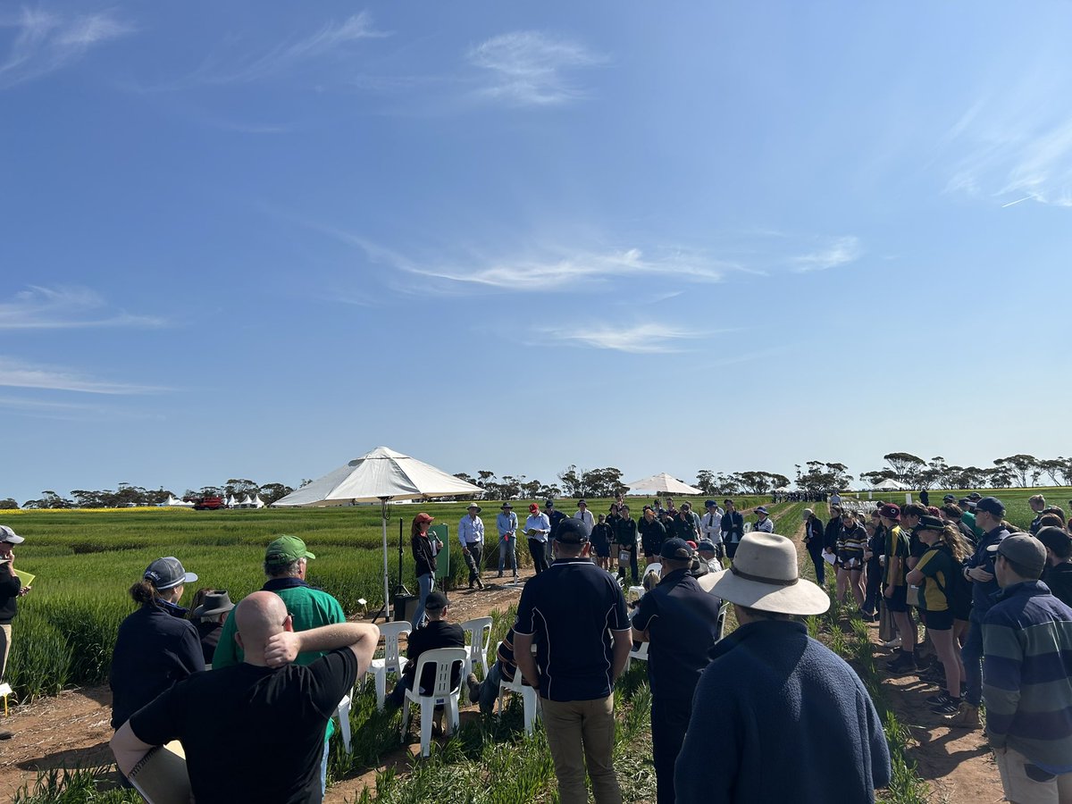 Great to be at the <a href="/BCG_Birchip/">Birchip Cropping Group (BCG)</a> main field day getting all the latest information on new varieties and latest research