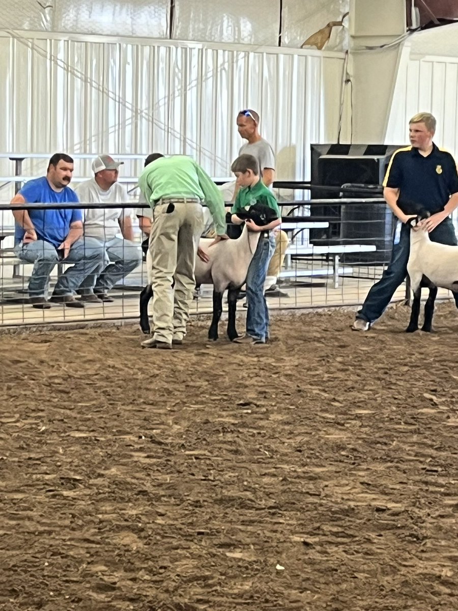 randilynbrad's tweet photo. Beau Gene got 2nd place in the county fair. We are so proud of you! ♥️ https://t.co/nCQiWWMPFI