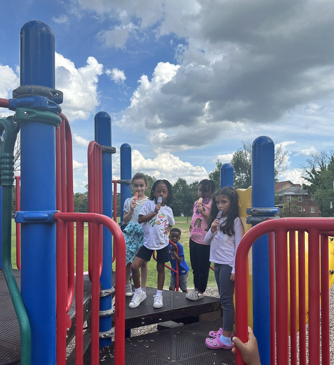 Sara Costa tweet media