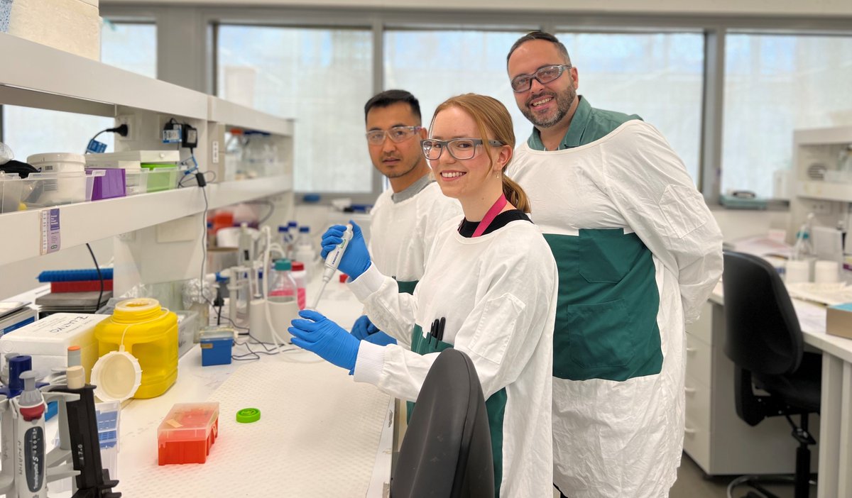 Superbug slayer! Researchers at <a href="/RMIT/">RMIT University</a> &amp; <a href="/UniversitySA/">UniSA</a> have developed a nano-thin material using black phosphorus that kills 99% of #bacteria. In future it could be integrated into wound dressings &amp; implants to help heal bacterial infections brnw.ch/21wCwjN #nanotechnology