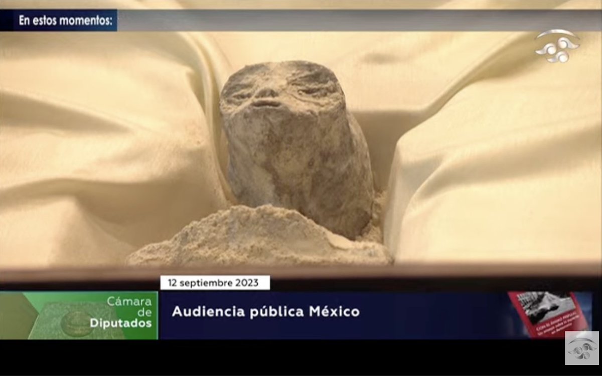 Pajaropolitico's tweet image. 🛸 Jaime Maussan presenta "cuerpos no humanos" en la @Mx_Diputados durante la audiencia pública de fenómenos anómalos no identificados. El espacio fue facilitado por el el morenista Sergio Gutiérrez Luna. 👽

📸 Congreso de México