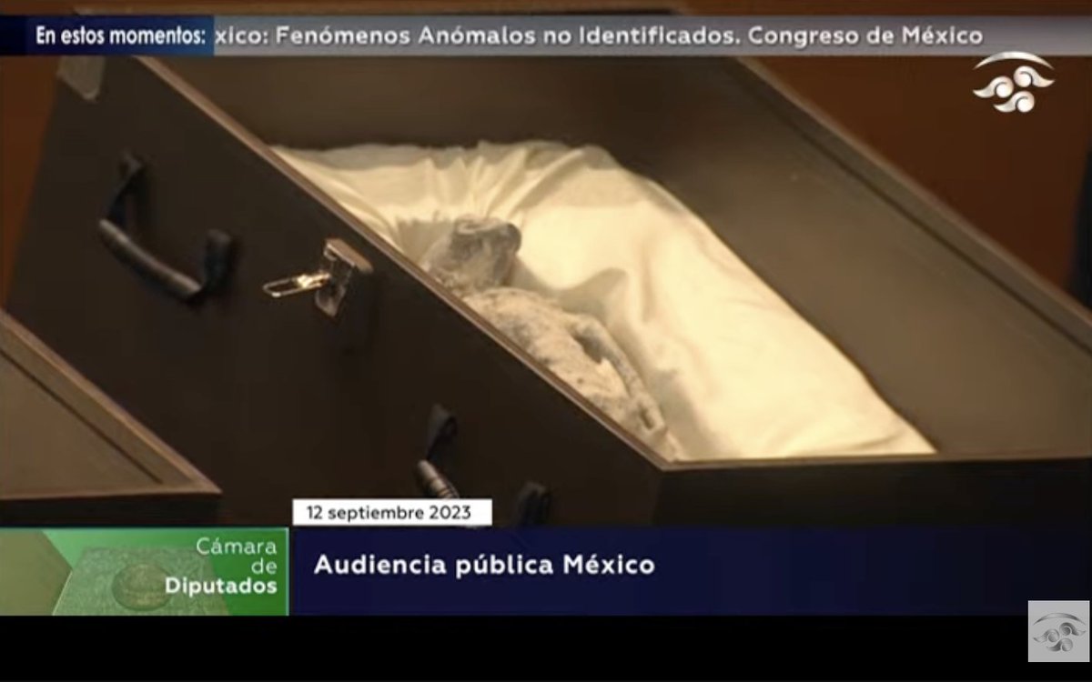 Pajaropolitico's tweet image. 🛸 Jaime Maussan presenta "cuerpos no humanos" en la @Mx_Diputados durante la audiencia pública de fenómenos anómalos no identificados. El espacio fue facilitado por el el morenista Sergio Gutiérrez Luna. 👽

📸 Congreso de México