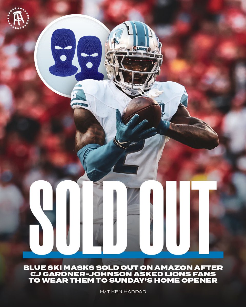 Lions fans are the best