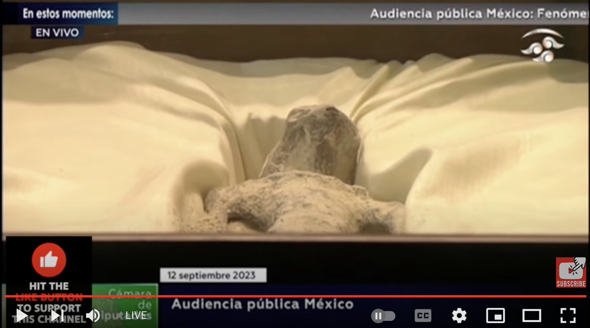 Top half of an alien corpse - again, this is happening live in Mexican Congress.