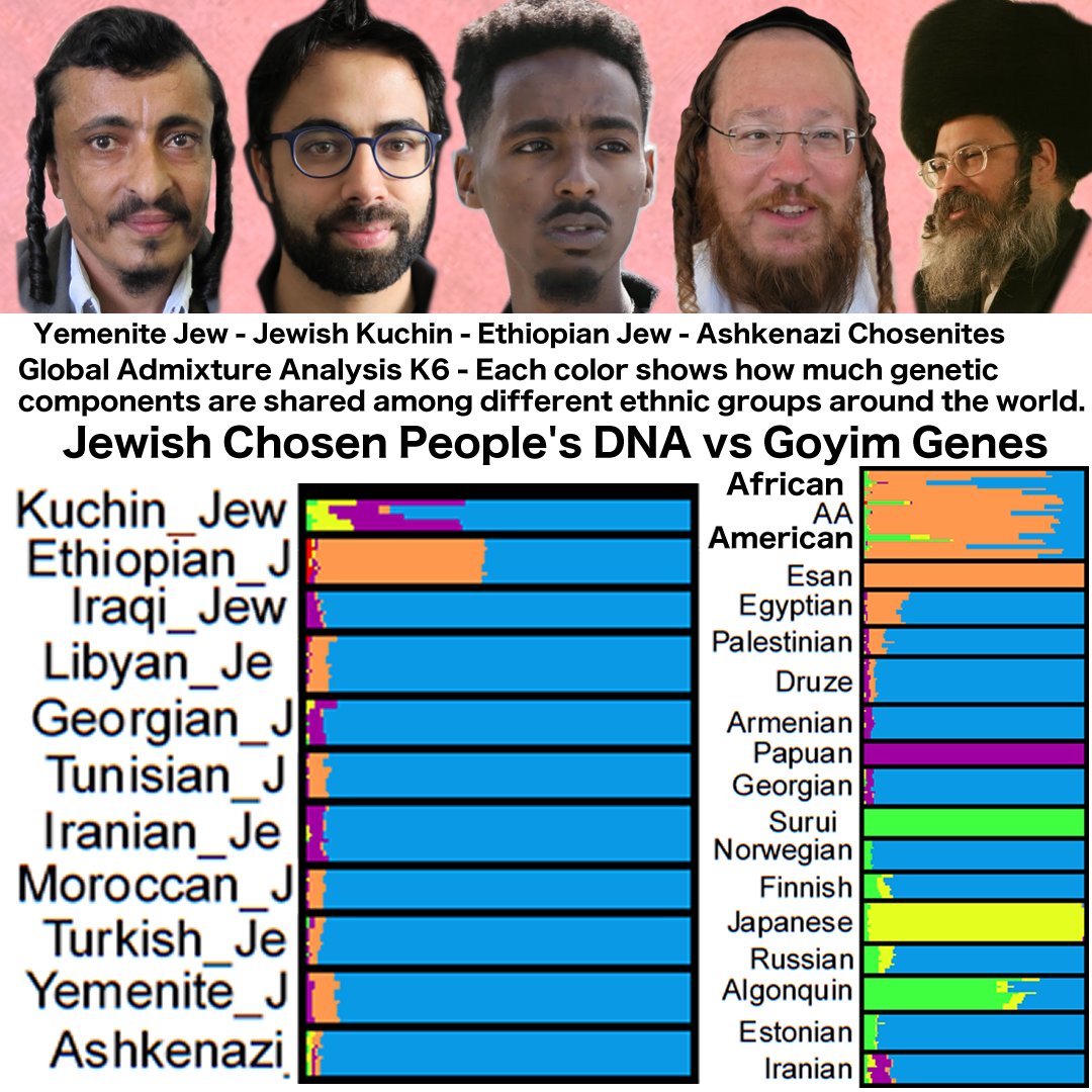 AsianJesusAmigo's tweet photo. Jewish Chosen People's DNA vs Goyim Genes. Hashem's Chosen people have special genes unique DNA compared to Goyim. Jewish Jews are very diversity with diverse admixture of non-Western Eurasian show as non-Blue colors. Glory to God's Chosen people, Baruch Hashem #hasem #chosenite https://t.co/8ORUomk7Lz