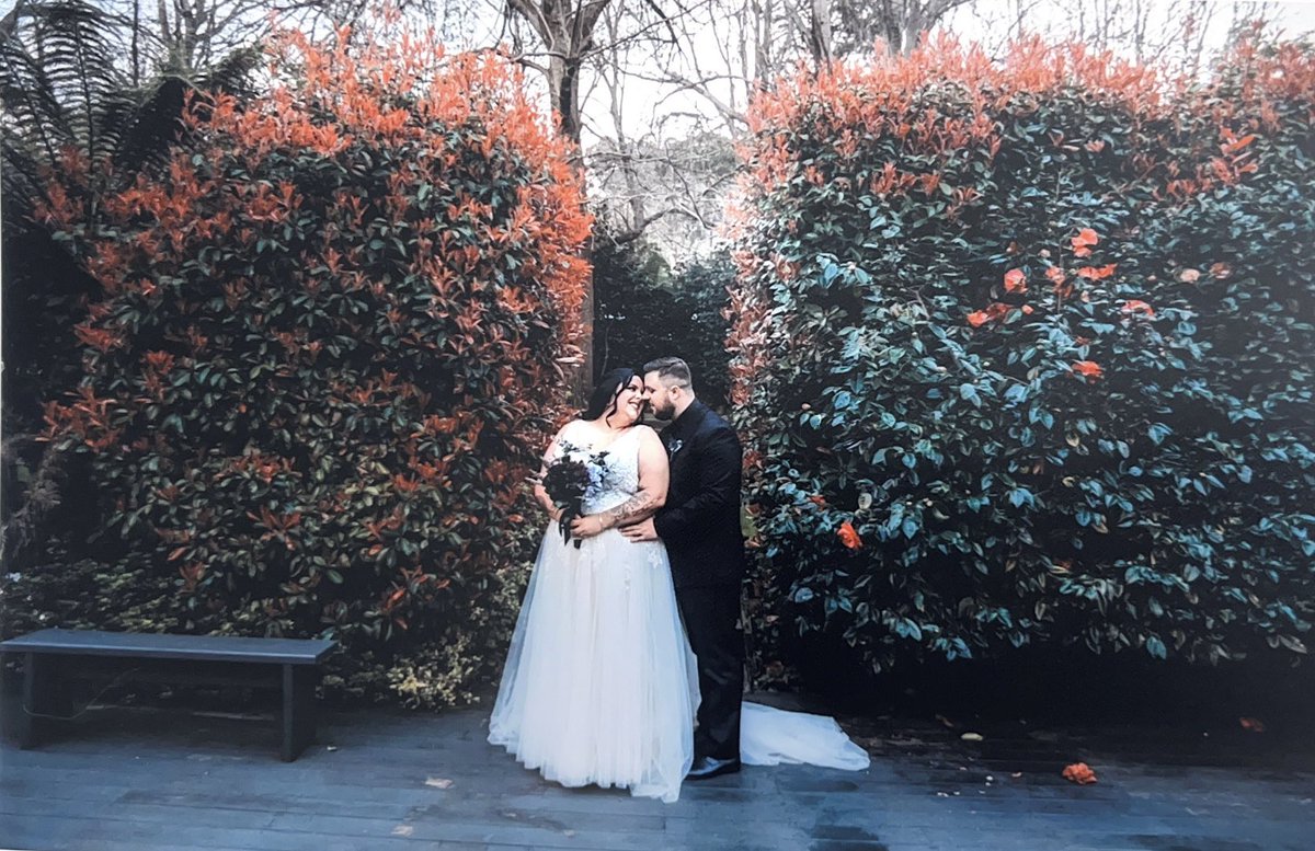 caity🐝 tweet media