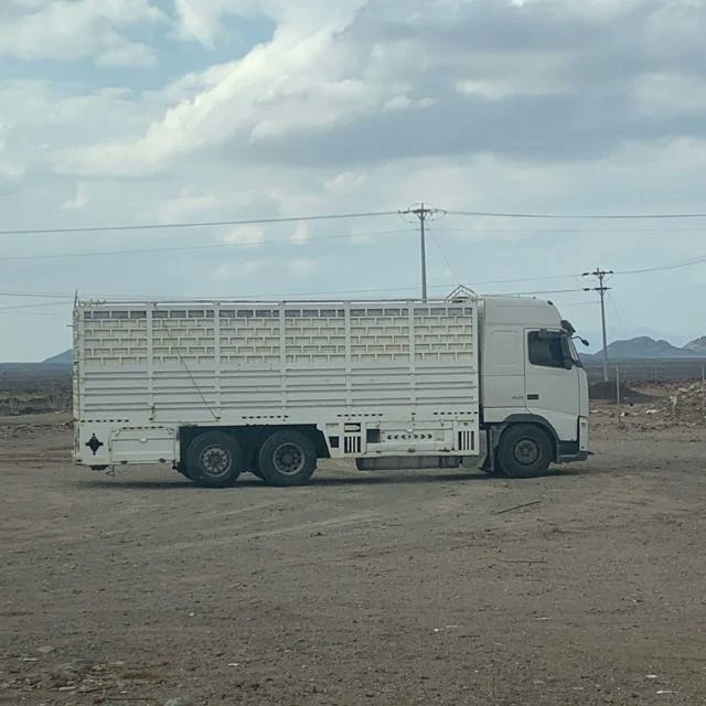 دينا°نقل°عفش°بالرياض●💯
نقل بضاعهwa.me/966532576530
دينا نقل بضاعه بالرياض📞
نقل اثاث داخل وخارج الرياض نقل عفش بالرياض☝
دينا نقل عفش بالرياض
نقل عفش خارج الرياض
شراء•اثاث•مستعمل•بالرياض•
نقل اثاث بالرياضwa.me/966532576530
دينا نقل عفش بالدمام تريلا نقل عفش