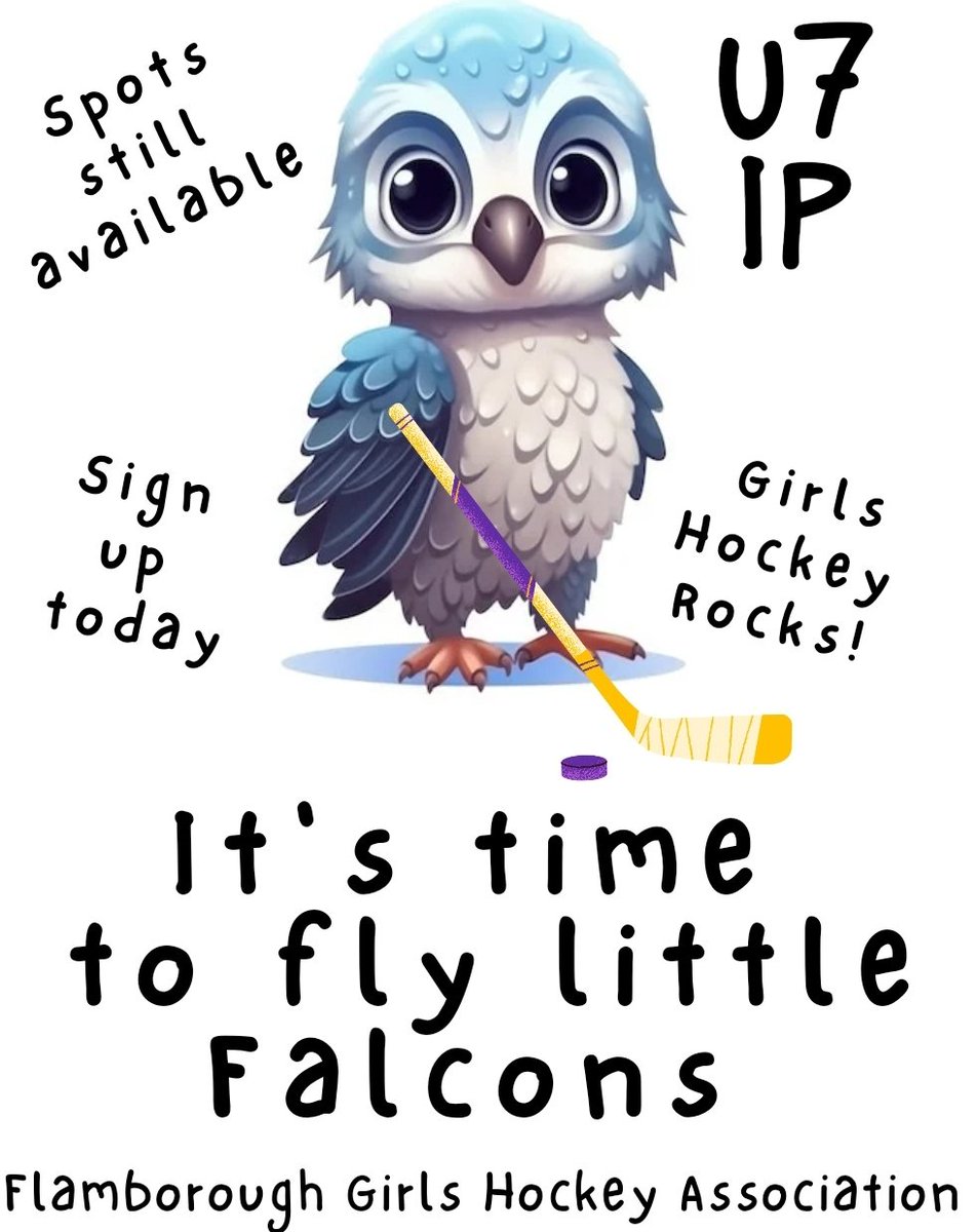 FGHA (Flamborough Girls Hockey Association) tweet media