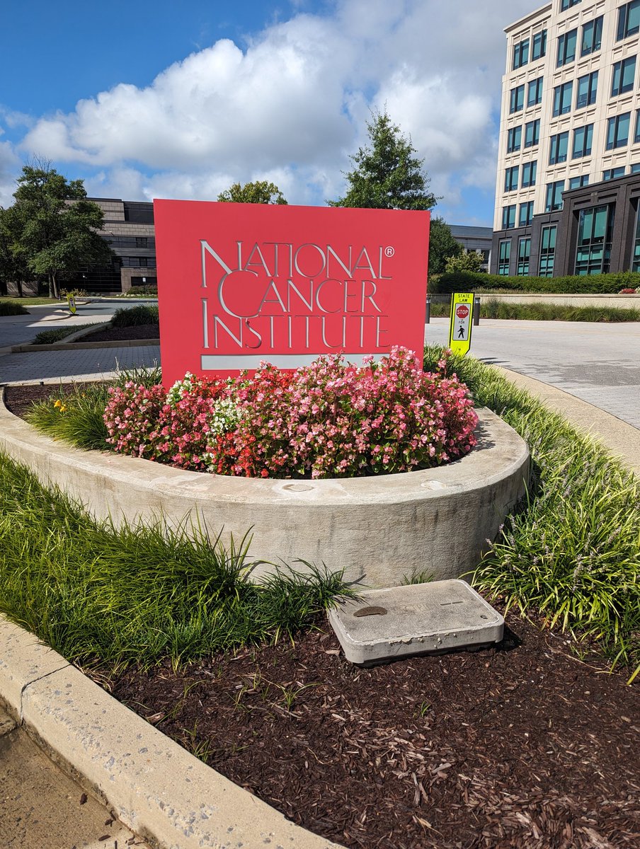 Courtney L Scherr, PhD tweet media