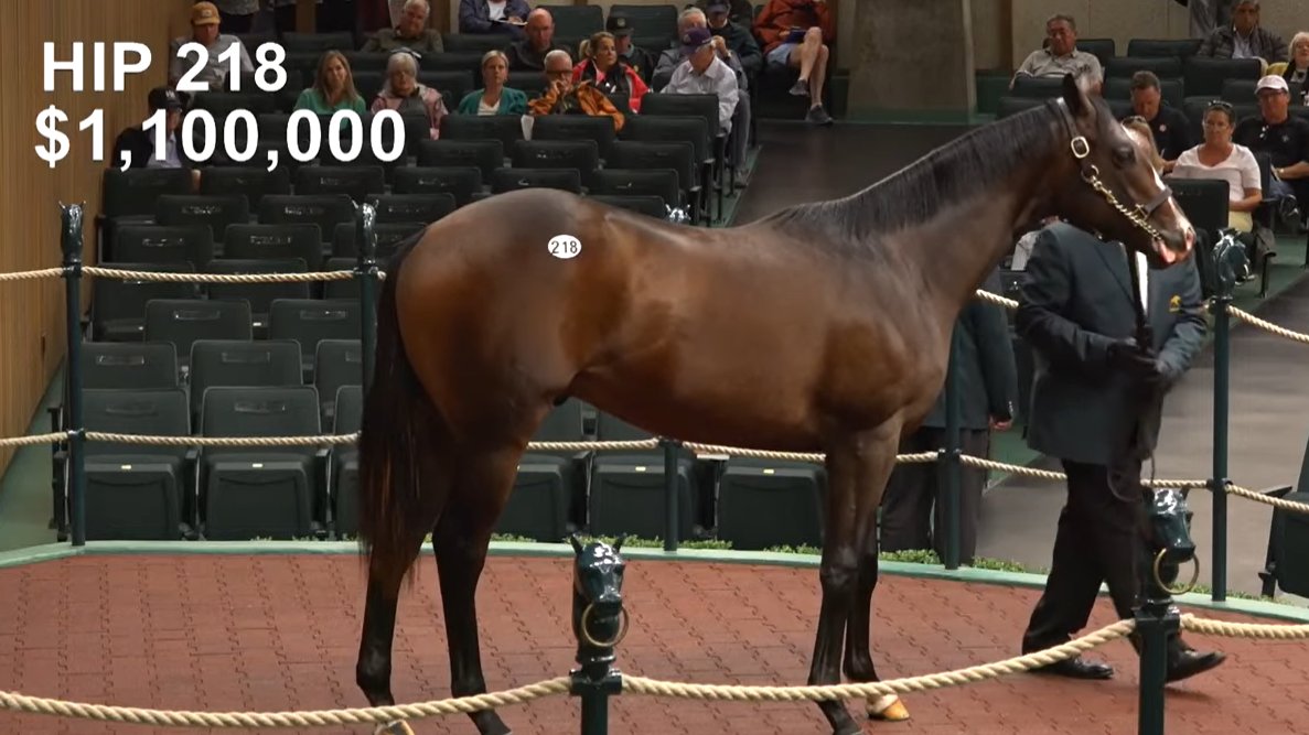 🚨$1.1 million for #KeeSept Hip #218, an Into Mischief colt out of Phipps mare Magical World.

He's the fourth seven-figure yearling of the sale from a Phipps family.

Congrats to consignor @Gainesway & buyers #SFRacing, @StarlightRacing & @MadaketStables.

⚫️🔴#PhippsBloodlines