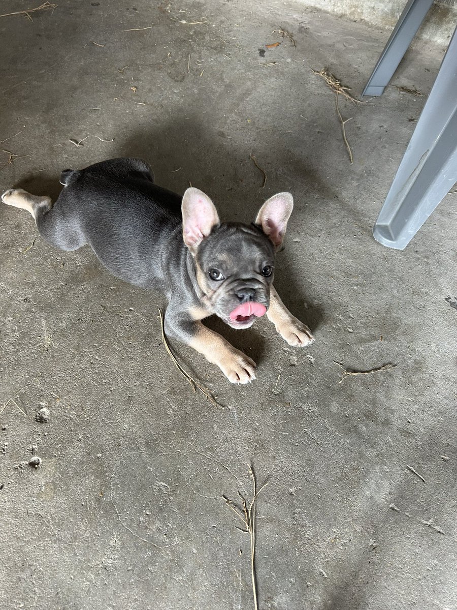Her name is “Bae”❤️🥰