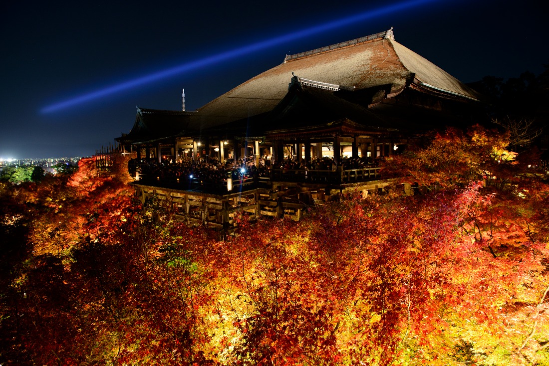 紅葉の京都は混むのはわかっているんだけど、毎年のように行ってるし、見きれない紅葉の見どころがあるから何回行っても新しい発見があるんだよなー
写真も10年ぐらい通ってるから結構撮ったけど、まだまだ行きたいところがたくさんある