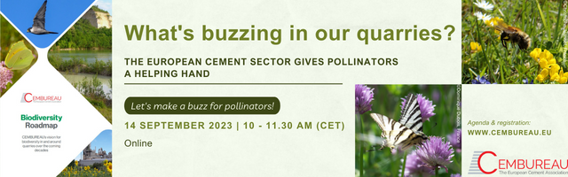 Last call! 🚨 Join our #webinar "What’s Buzzing in Our Quarries?" this Thursday at 10am. See how #quarries support #pollinators &amp; the EU #cement sector's commitment to boost wild pollinator populations.🐝💛
Partner of #EUMineralsDays
🔗 Register: cembureau.eu/events/cembure…
