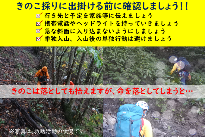 NAGANO_P_M_R's tweet photo. 【＃きのこ採り遭難防止】
秋といえば紅葉���のほかにきのこ・松茸採り🍄もシーズンになります。
例年、きのこ採りに夢中になり過ぎて、急斜面での滑落や道に迷う等の遭難が多発します。
きのこは落としても拾えますが、命を落としてしまうと…
御家族で行かれる方がいれば互いに注意喚起を‼️ https://t.co/T9AFkYA9Lx